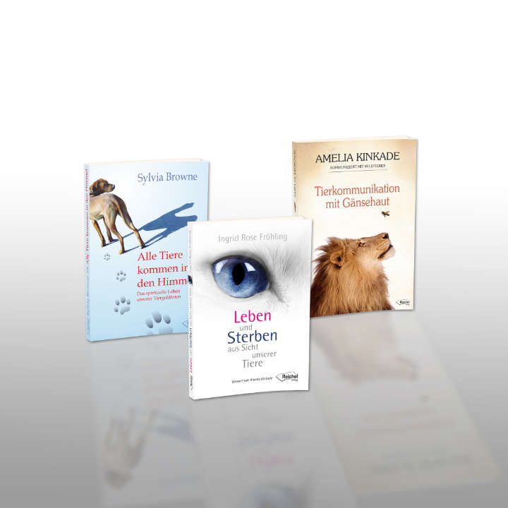 Gestaltung Buchtitel